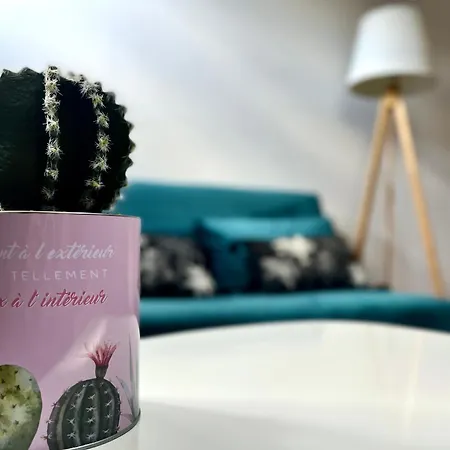 Appartement 3 Centre 25min Du Puy Dufou