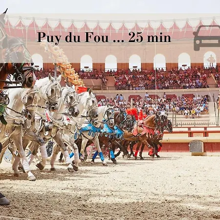 3 Centre 25min Du Puy Dufou Cholet