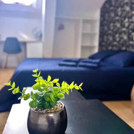 Apartment 3 Centre 25min Du Puy Dufou Cholet