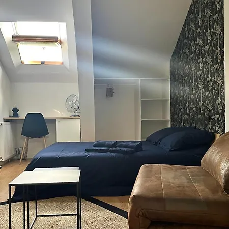 3 Centre 25min Du Puy Dufou * Cholet