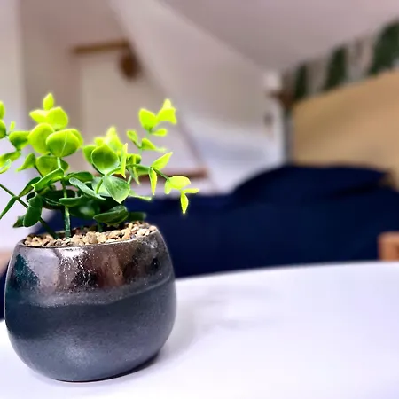 Apartment 3 Centre 25min Du Puy Dufou