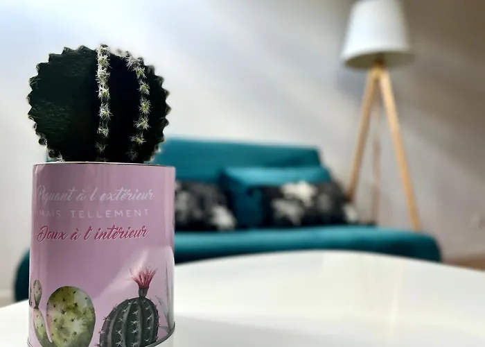 Apartman 3 Centre 25min Du Puy Dufou