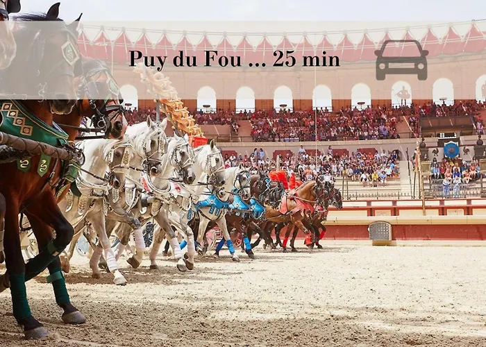 3 Centre 25min Du Puy Dufou Cholet