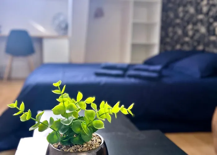 Apartman 3 Centre 25min Du Puy Dufou Cholet