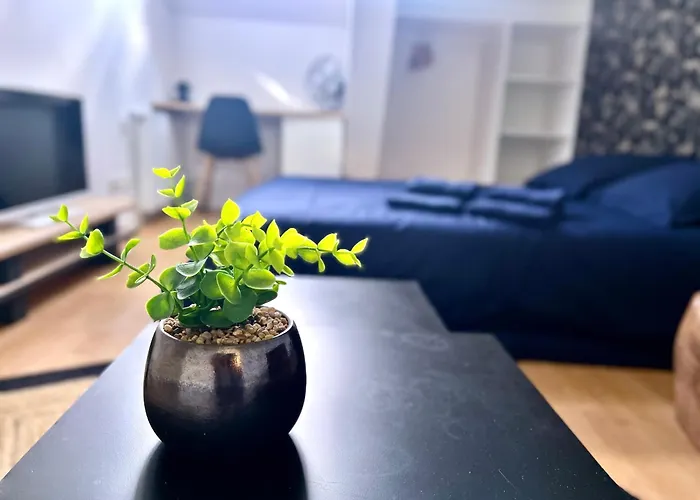 Apartman 3 Centre 25min Du Puy Dufou Cholet