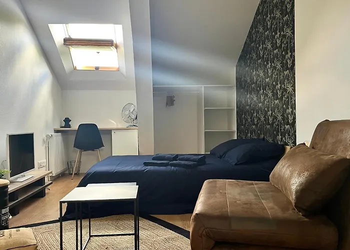 3 Centre 25min Du Puy Dufou * Cholet