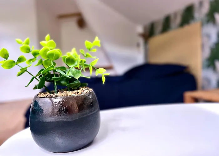 Lägenhet 3 Centre 25min Du Puy Dufou