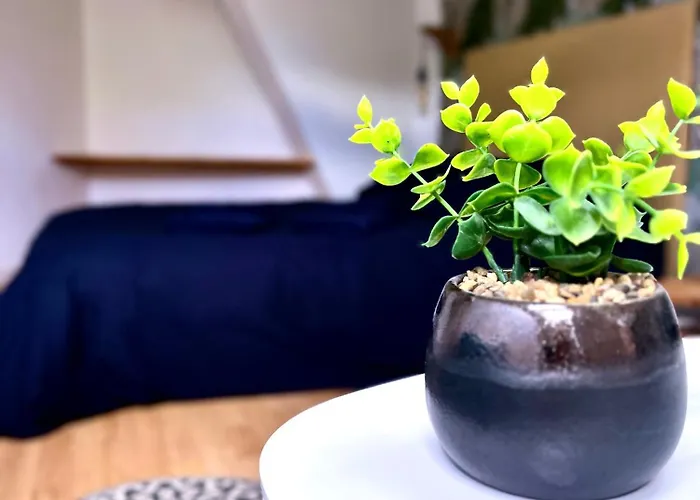 3 Centre 25min Du Puy Dufou Lägenhet Cholet