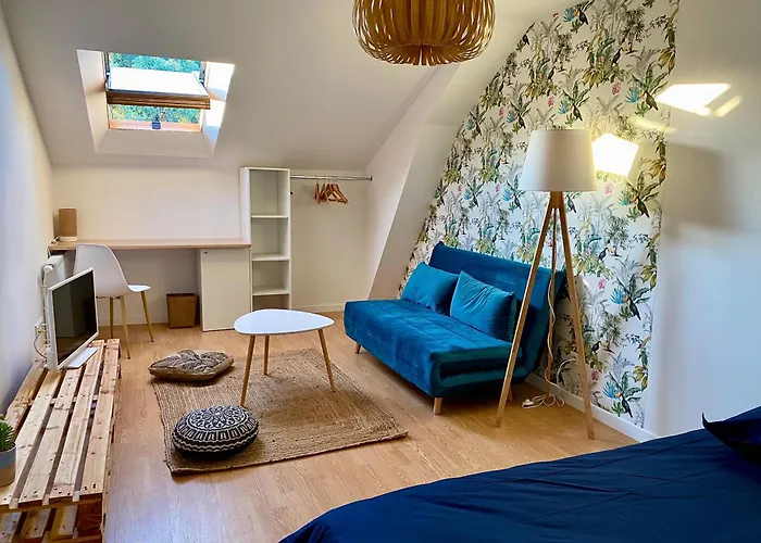 3 Centre 25min Du Puy Dufou Cholet